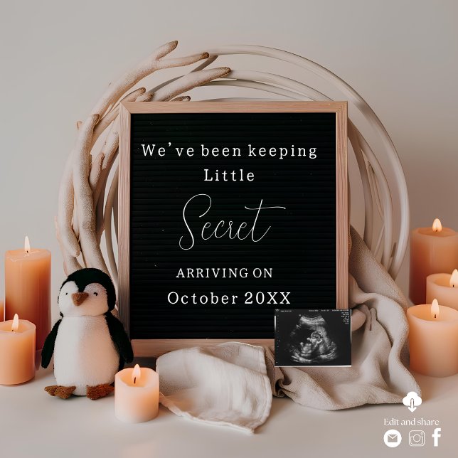  Simple & Elegant penguin pregnancy announcement  (Creator Uploaded)