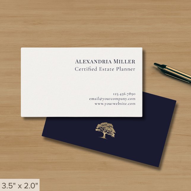 Simple Elegant Professional Business Card (Creator Uploaded)