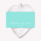 Simple Elegant Turquoise Professional