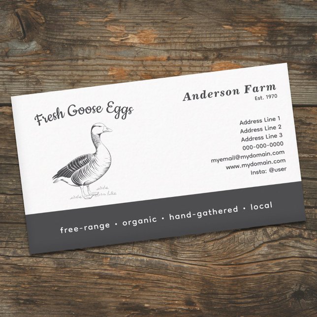 Simple Farm Fresh Goose Eggs  Business Card (Simple Farm Fresh Goose Eggs Business Card)