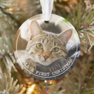 Simple Frame Animal Pet Photo Ornament