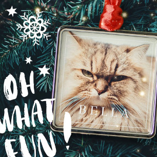 Simple Frame Modern Chic Family Pet Photo Holiday Metal Ornament