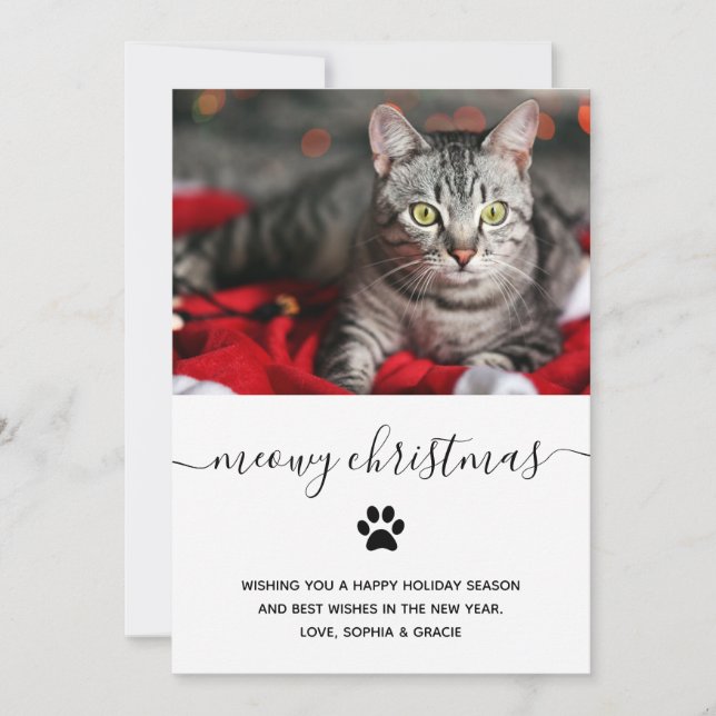 Simple Funny Happy Holidays from the Cat | Photo Holiday Card (Front)