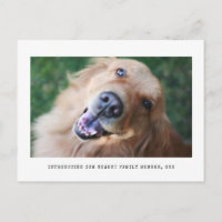 Simple Graphic Photo Pet Adoption Announcement