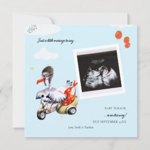 Simple Humourous Cartoon Stork Cute Photo Pregnanc Announcement