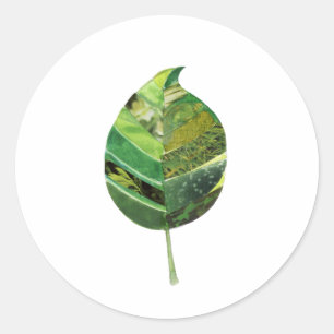 Simple Leaf Sticker
