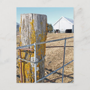 Simple Life Postcard