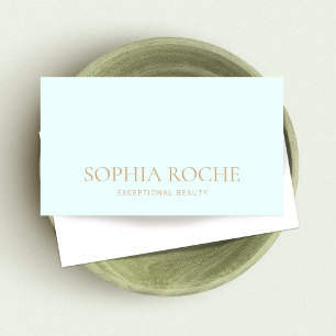 Simple Light Aqua Blue Professional Business Card