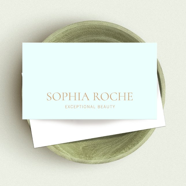Simple Light Aqua Blue Professional Business Card (Creator Uploaded)