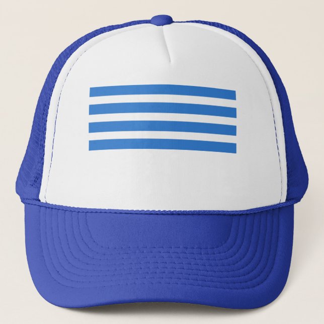 Simple Line Trucker Hat (Front)