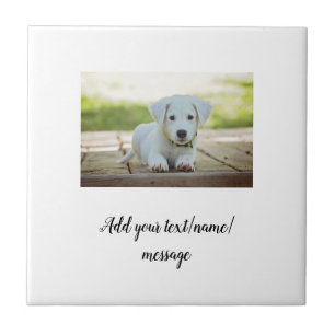simple minimal add your pet photo name collage ceramic tile
