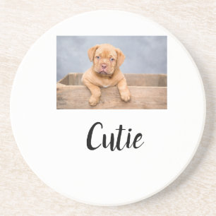 simple minimal add your pet photo name custom coaster