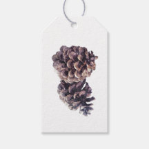 Simple Minimal Watercolor Pine Cones