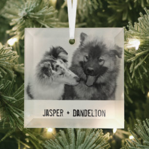 Simple, Modern Custom Pet or People Glass Tree Decoration