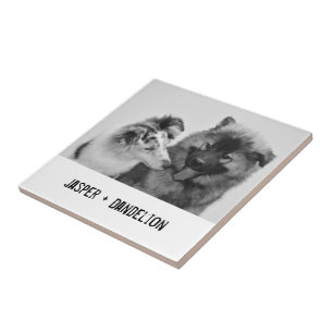 Simple, Modern Custom Pet or People Photo Ceramic Tile