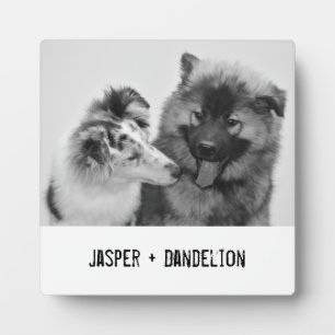 Simple, Modern Custom Pet or People Photo Plaque