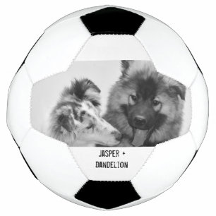 Simple, Modern Custom Pet or People Photo Soccer Ball