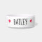 Simple Modern Dog Cat Pet Bowls
