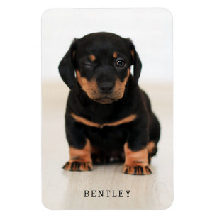 Simple Modern Full Photo Dog Pet   Black Magnet