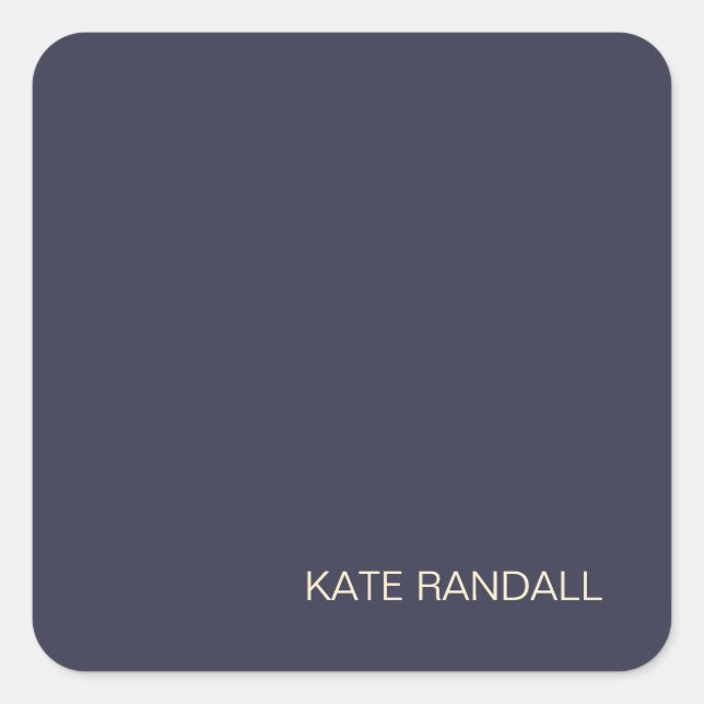 Simple Modern Navy Blue Professional Square Sticker (Front)