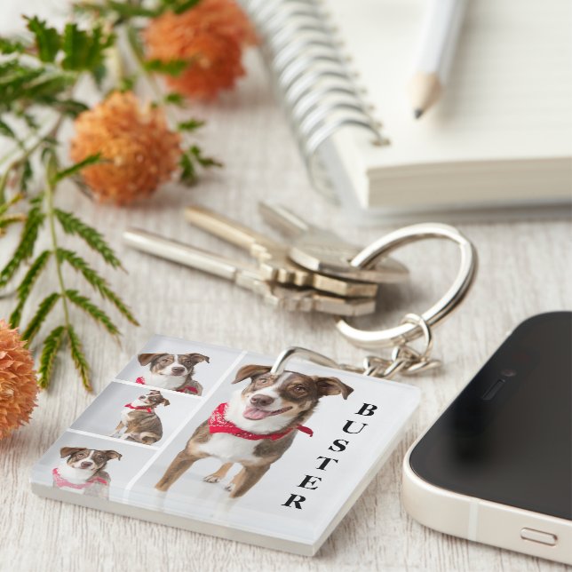 Simple Modern Pet Photo Collage Key Ring (Front Right)