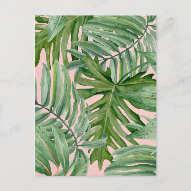 Simple Modern Pink Palm Leaf Tropical Floral  Postcard (Front)