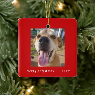 Simple Modern Red Frame Family Pet Photo Holiday Ceramic Ornament