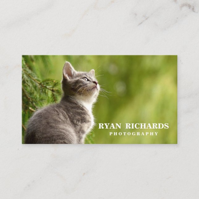 Simple Nature Professional Photography Business Card (Front)