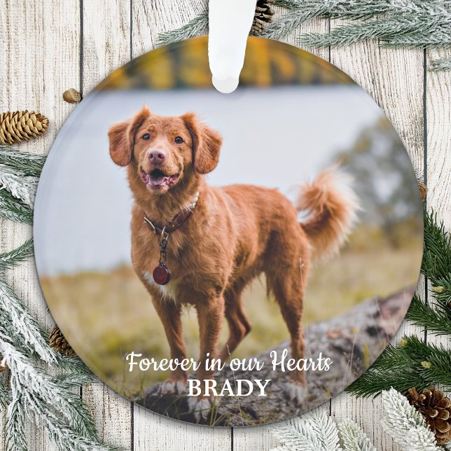 Simple Personalised 2 Photo Sympathy Pet Memorial Ornament (Creator Uploaded)