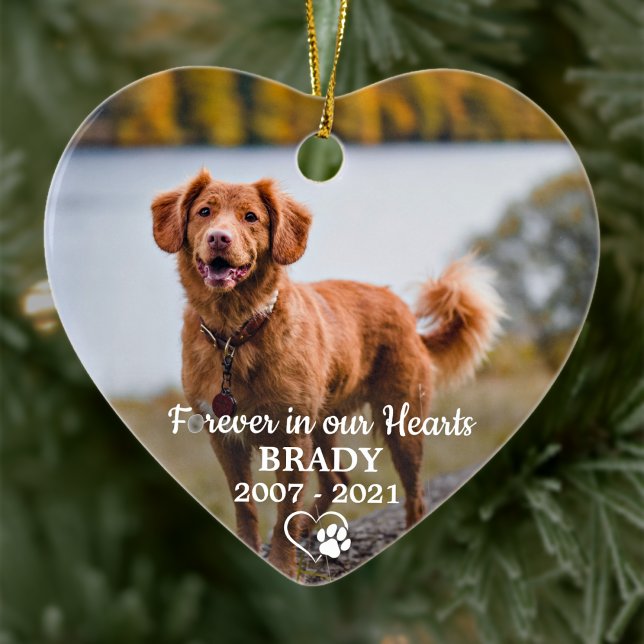 Simple Personalised Photo Sympathy Pet Memorial Ceramic Ornament (Creator Uploaded)