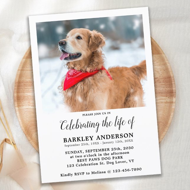 Simple Pet Memorial Photo Celebration Of Life Invitation (Creator Uploaded)