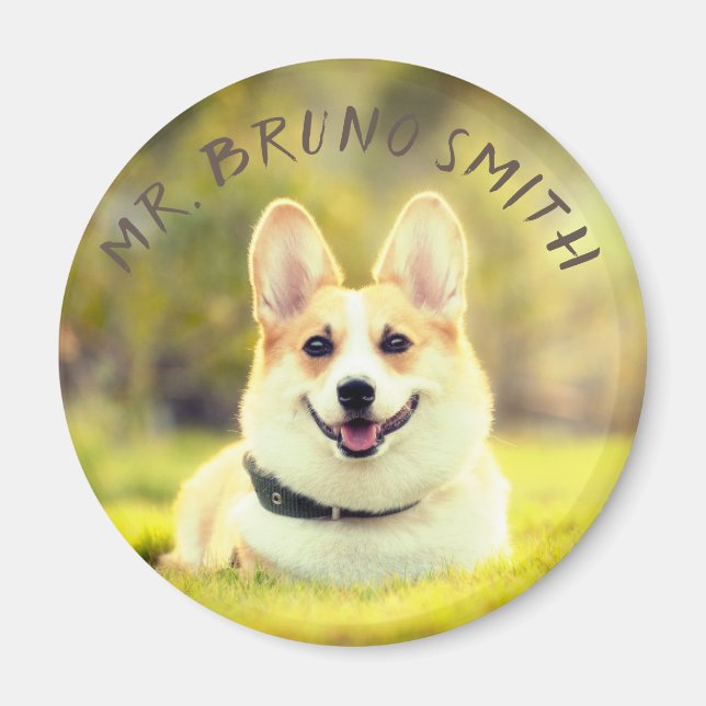 Simple Pet Photo with personalised name Circle Magnet (Front)