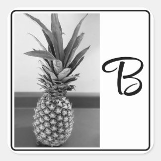 Simple Pineapple Photo Single Initial BW Print Square Sticker