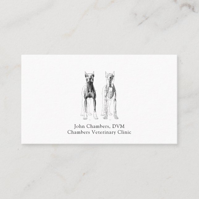 Simple Professional Veterinarian Medical Business Card (Front)