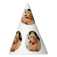 Simple puppie pattern birthday party