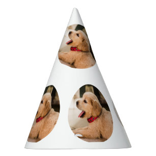 Simple puppie pattern birthday party hat