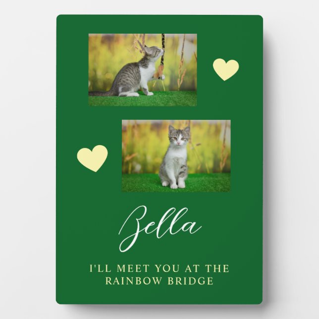 Simple Rainbow Bridge Cat Memorial Plaque (Front)