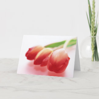 Simple Red Tulips All Ocassions Greeting Card