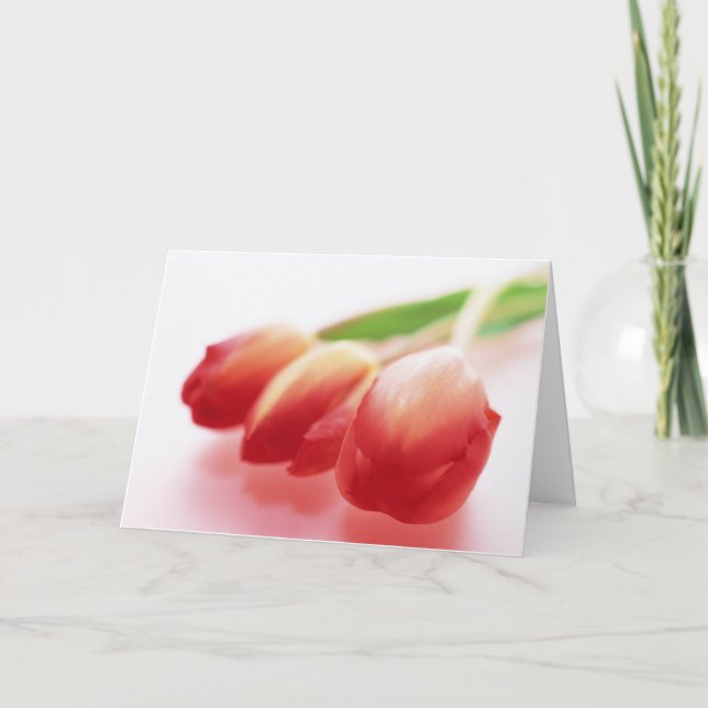 Simple Red Tulips All Ocassions Greeting Card (Front)