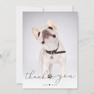 Simple Script Pet Memorial Photo Thank You Card