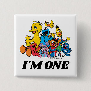Simple Sesame Street Pals 1st Birthday 15 Cm Square Badge
