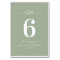 Simple Solid Colour Light Leaf Green Wedding
