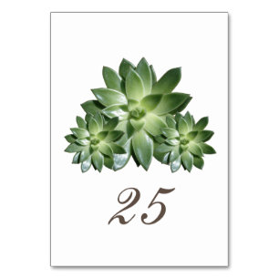 Simple Succulent Wedding Table Card