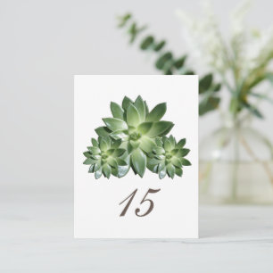 Simple Succulent Wedding Table Number Postcard