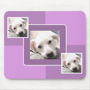 Simple Three Photo Modern Square Design Purple Mouse Pad