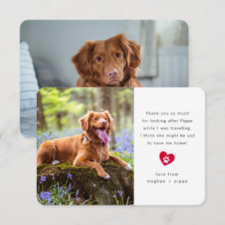 Simple Two Photo Pet Sitter Thank You Card