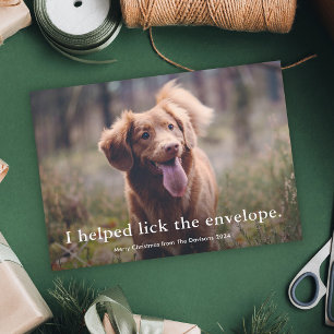 Simple Type Funny Pet Christmas  Holiday Card