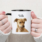Simple Typography Personalised Custom Dog Image