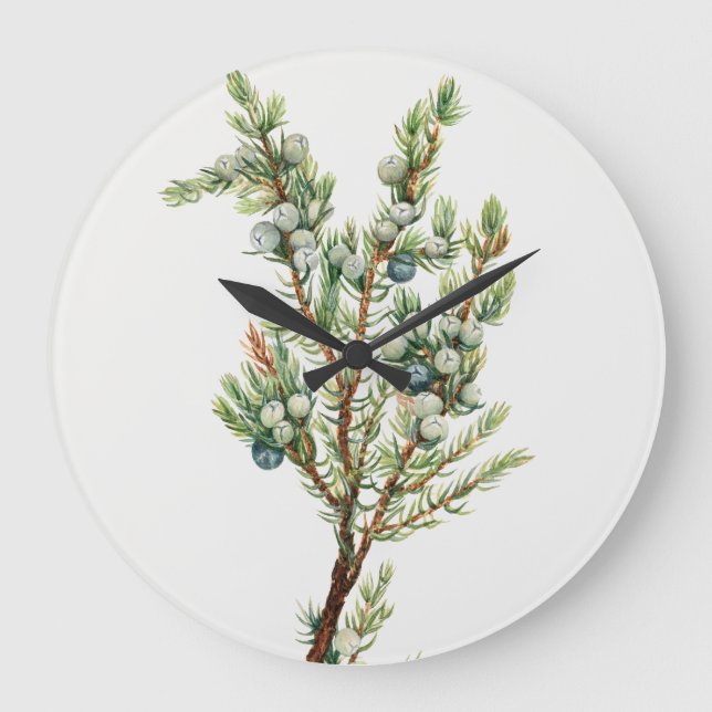 Simple Vintage Botanical Mountain Juniper Large Clock (Front)