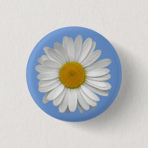 Simple White Daisy Flower on Light Blue 3 Cm Round Badge